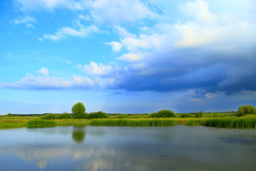 Landscape with lake surrounded with cane and big clouds