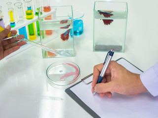 Scientist hand use pen to record testing result near batta fish swimming in fish tank.