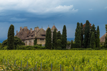 Château de Ripaille à Thonon les Bains en Haute Savoie , au bord du lac Léman