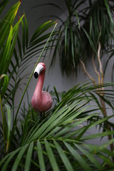 Obraz premium Flamingo