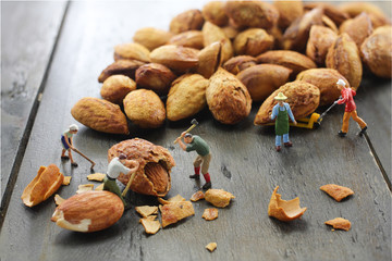 Miniature figure  Workers are cracking almonds with tool .