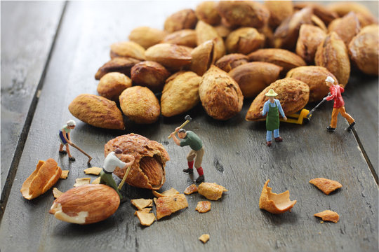 Miniature figure Workers are cracking almonds with tool . - Powered by Adobe