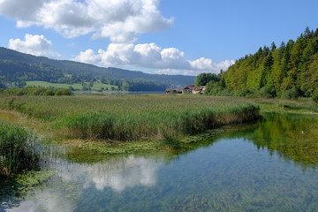 Port titi doubs