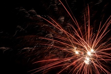 Fireworks in the night sky
