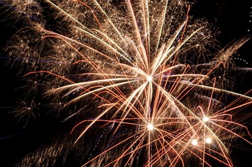 Fireworks in the night sky