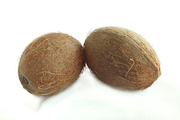 fresh coconuts with milk inside