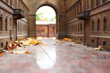 St.Petersburg in miniature in autumn