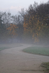 A winding gravel road leading into the forest shot on a misty morning