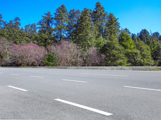 Asphalt highway and virgin forest landscape in Yunnan Province, China