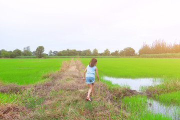 girl travel in green rice field touch pure good nature weather,light leak style