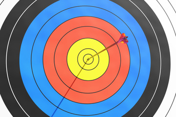 Archery target with arrow in the center