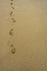 Fototapeta na wymiar Footprints in the sands
