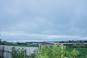 Obraz premium Village. Rural. Outskirts of the village with houses and gardens. The village before the rain.
