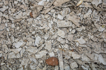 Village. Rural. Construction waste. Stones, sand, clay, sawdust.