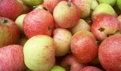 apples