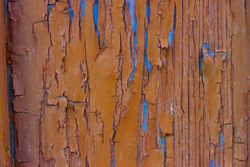 Orange-blue wood texture