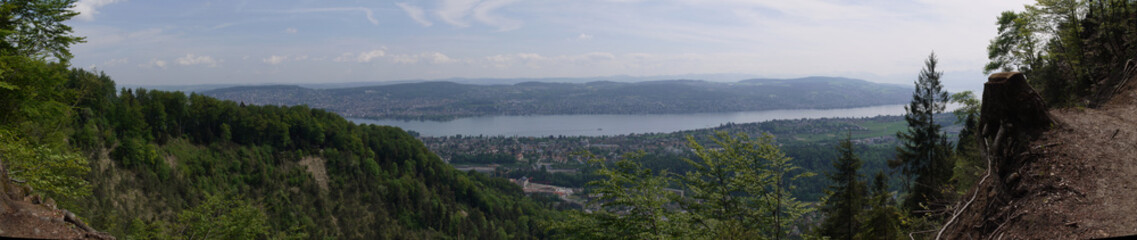 Panoramic View 