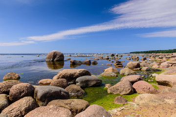 Baltic sea coast. Gulf of Finland coast, Leningrad region, Russia