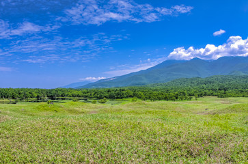 Fototapeta premium 快晴の自然公園
