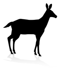 Fototapeta premium Deer Animal Silhouette