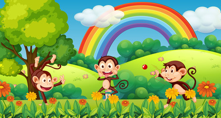 Obraz na płótnie Canvas Monkey playing in forest