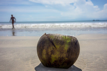 coconut on sand beach with single person and ocean background