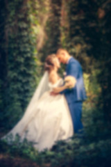 Fototapeta na wymiar blurred, soft focus couple in love in green forest (wedding concept)