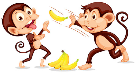 Monkey throwing a banana