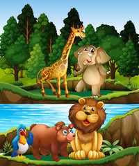 Fototapeta premium Wild animals at the river