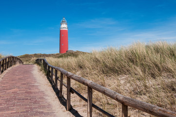 path over the dunes to the lighthouse in Texel - 219638026