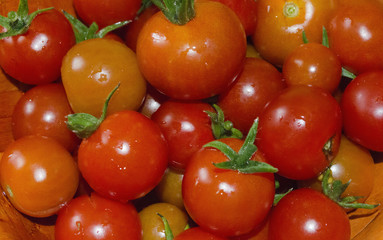 a lot of red tomatoes close-up