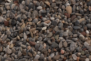 Sea Stone