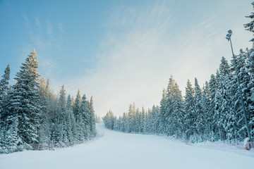 Obraz premium Snow-covered trees on a Sunny winter day in the ski resort, winter forest in the mountains