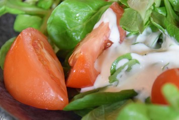 Salatteller mit Tomaten, grünem Blattsalat, und Joghurt-Dressing