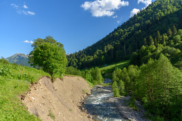 Fototapeta na wymiar Fast mountain river among mountain meadows. Stream of a mountain river. Mountain plateau in Abkhazia
