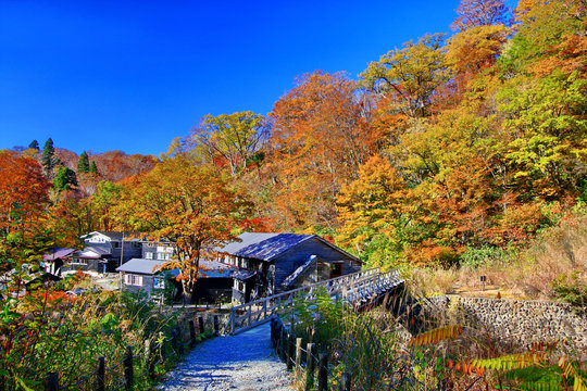 Rustic ryokan Magoroku Onsen among colorful autumn forest with blue sky in hot spring resorts of Nyuto Onsenkyo, Akita Prefecture, Japan