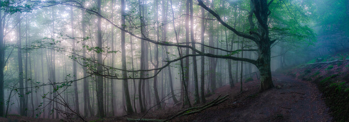 amanecer y via láctea en el monte aizkorri, en país vasco, Euskadi