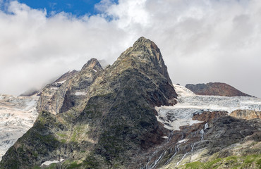 The path to the Alibek glacier. Flowering herbs. Dombay.
