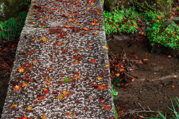 石の橋を飾る落ち葉