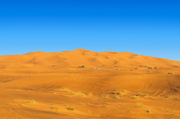 Fototapeta na wymiar Desert Yellow Sand Dunes Landscape
