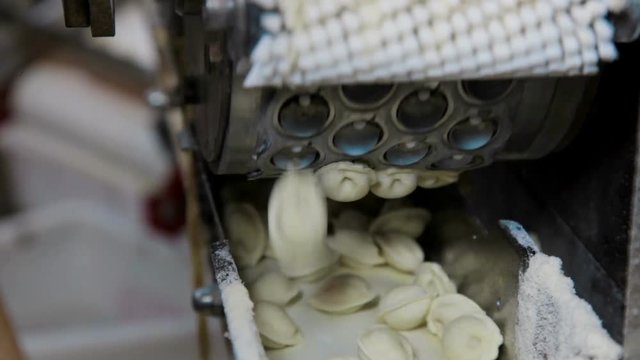 Machine for the production of pelmeni in the factory