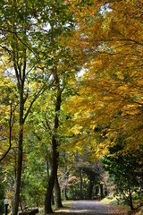 秋の登山道