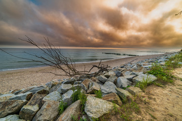 Fototapeta premium landscape by the sea, wood, stones, sand, waves