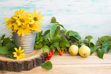 yellow daisies in a metal bucket and viburnum, pears on a branch close-up on a round cut tree. Rustic wooden table background.