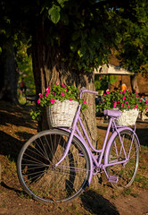 Fototapeta na wymiar Pink bike with flower on it