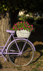 Fototapeta na wymiar Pink bike with flower on it