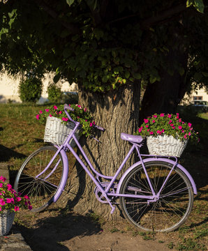 Pink bike with flower on it