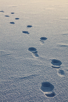 Man's footprints in the snow in Finland. Focus location in the middle of the image. Front and rear blurred.