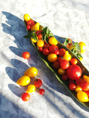 freilandtomaten, sortenvielfalt
