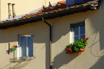 Fototapeta na wymiar windows with flower pots and colors